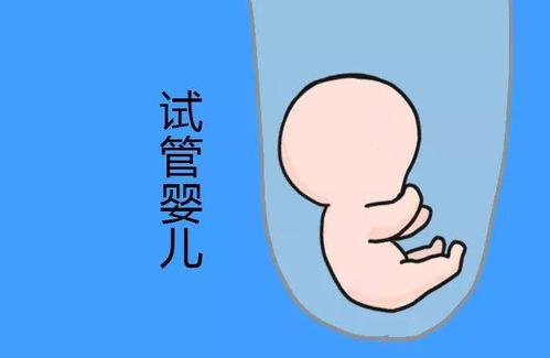 沪上生殖医学中心